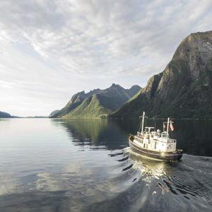Honeymoon - Norwegian Fjord Tour Excursion