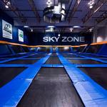 Sky Zone Trampoline Park