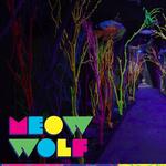 Meow Wolf