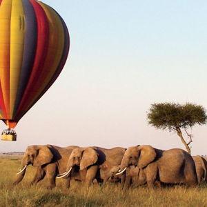 Trip to the Masaai Mara