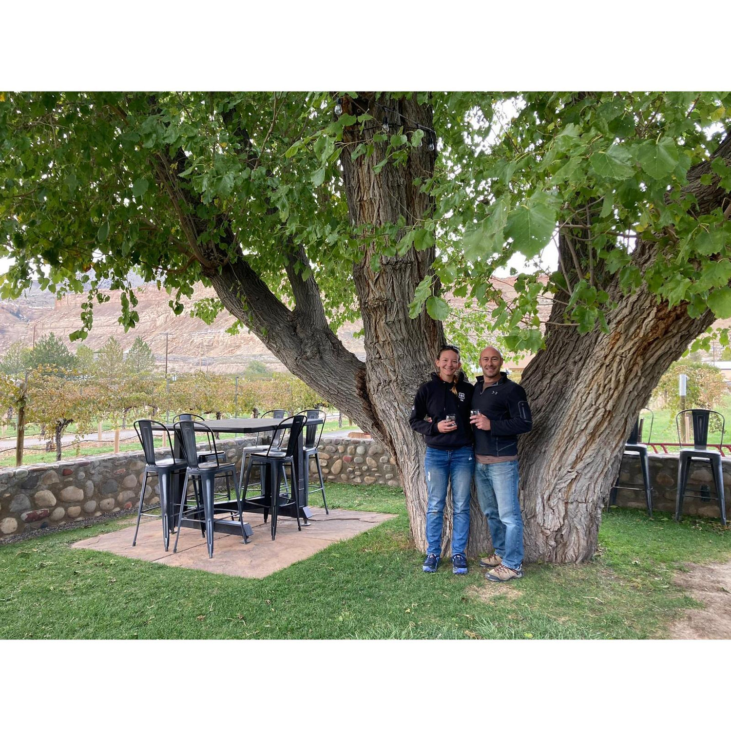 Winery in Palisade, CO