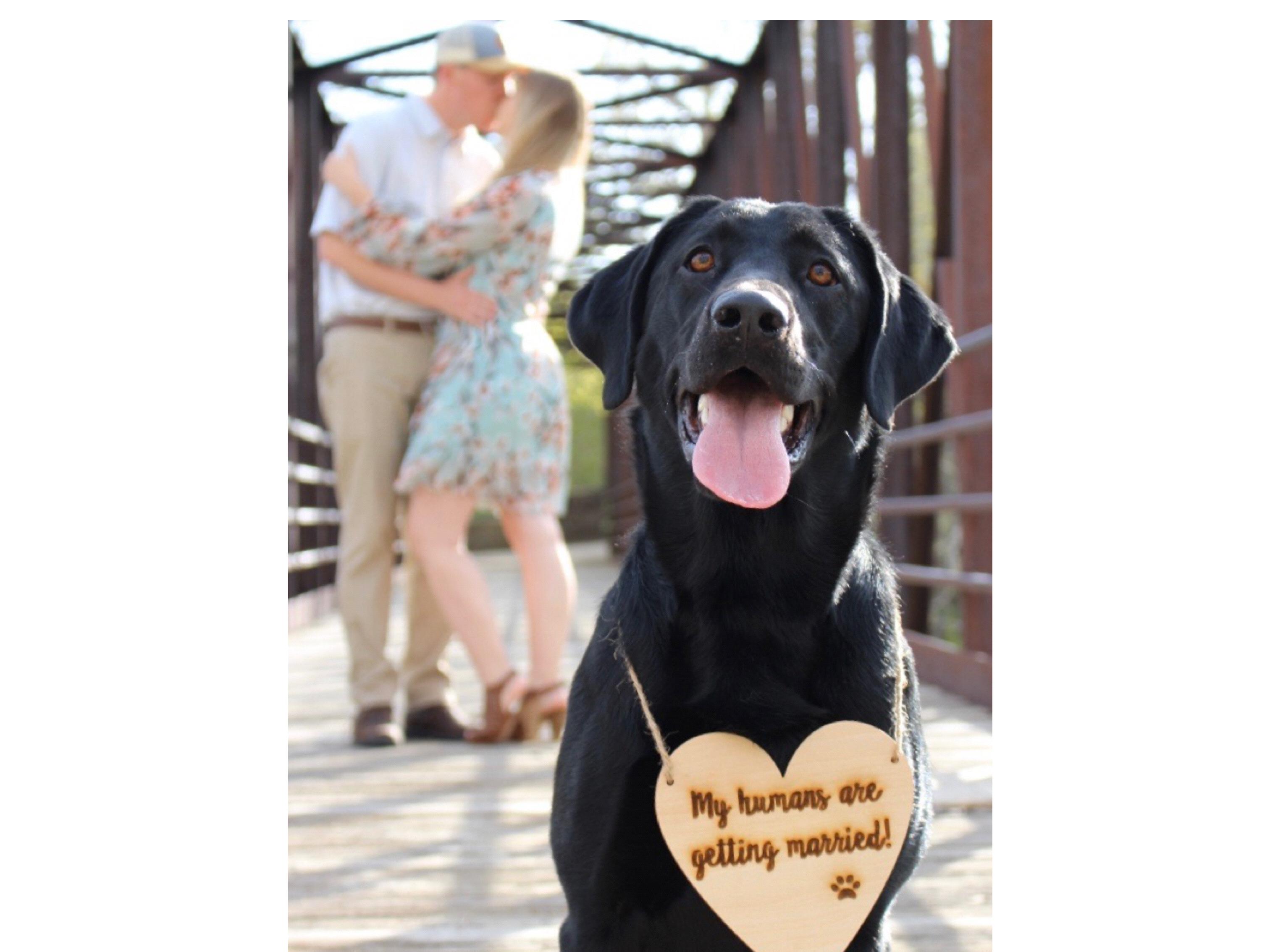 The Wedding Website of Sarah Marie Higbee and Jonathan Ray Hovland