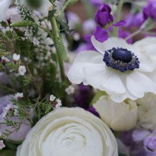Wedding Cash Fund