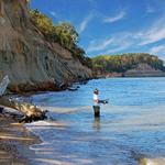 Calvert Cliffs State Park