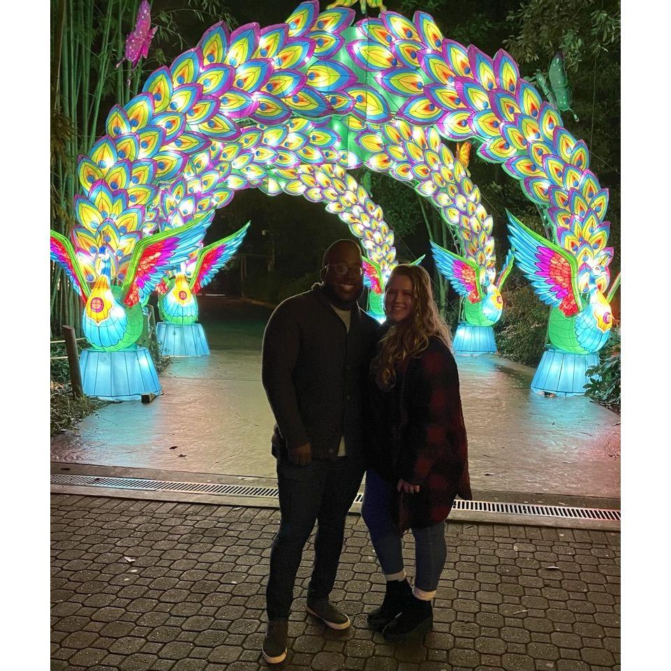 Our second year finding holiday lights!