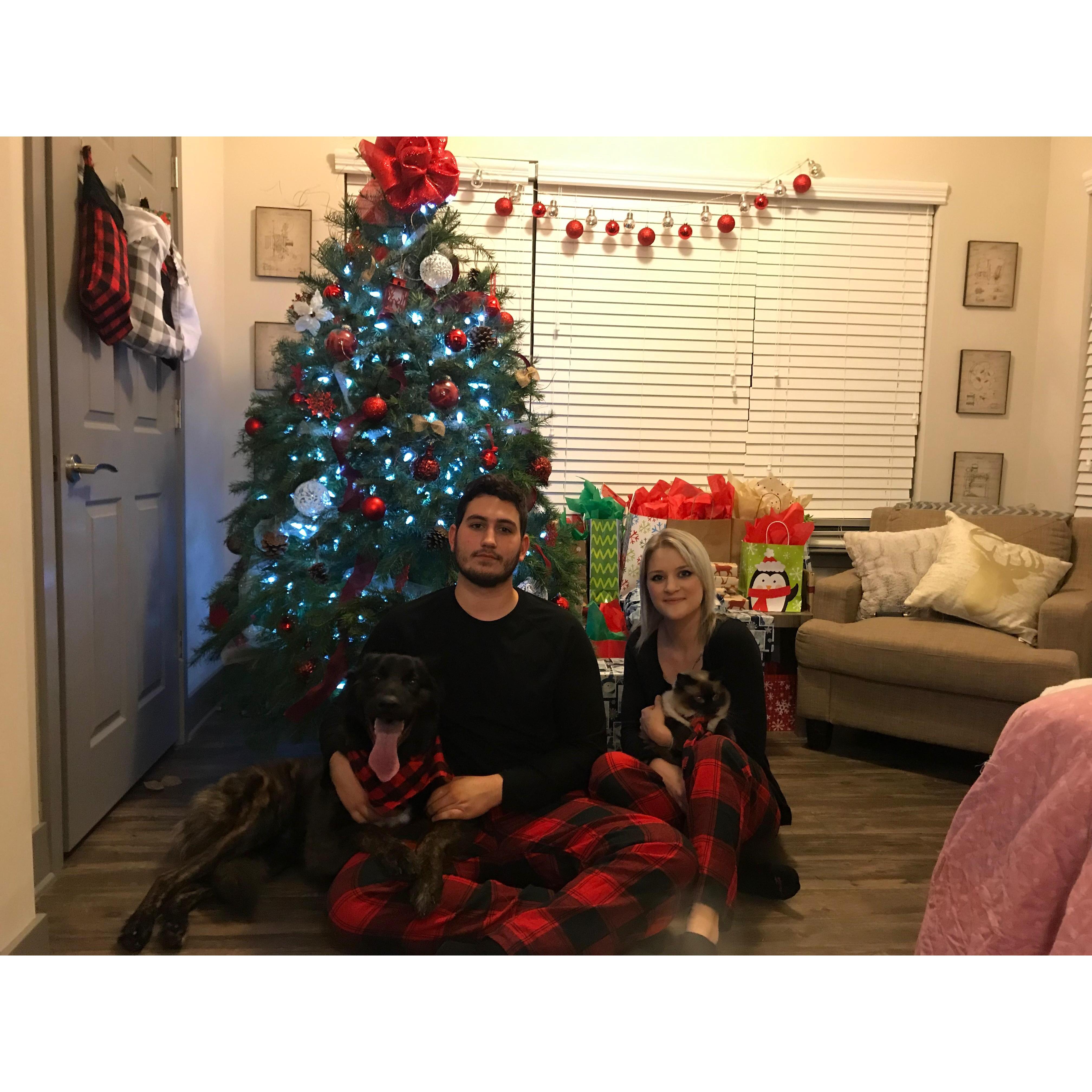 Meet our little family!