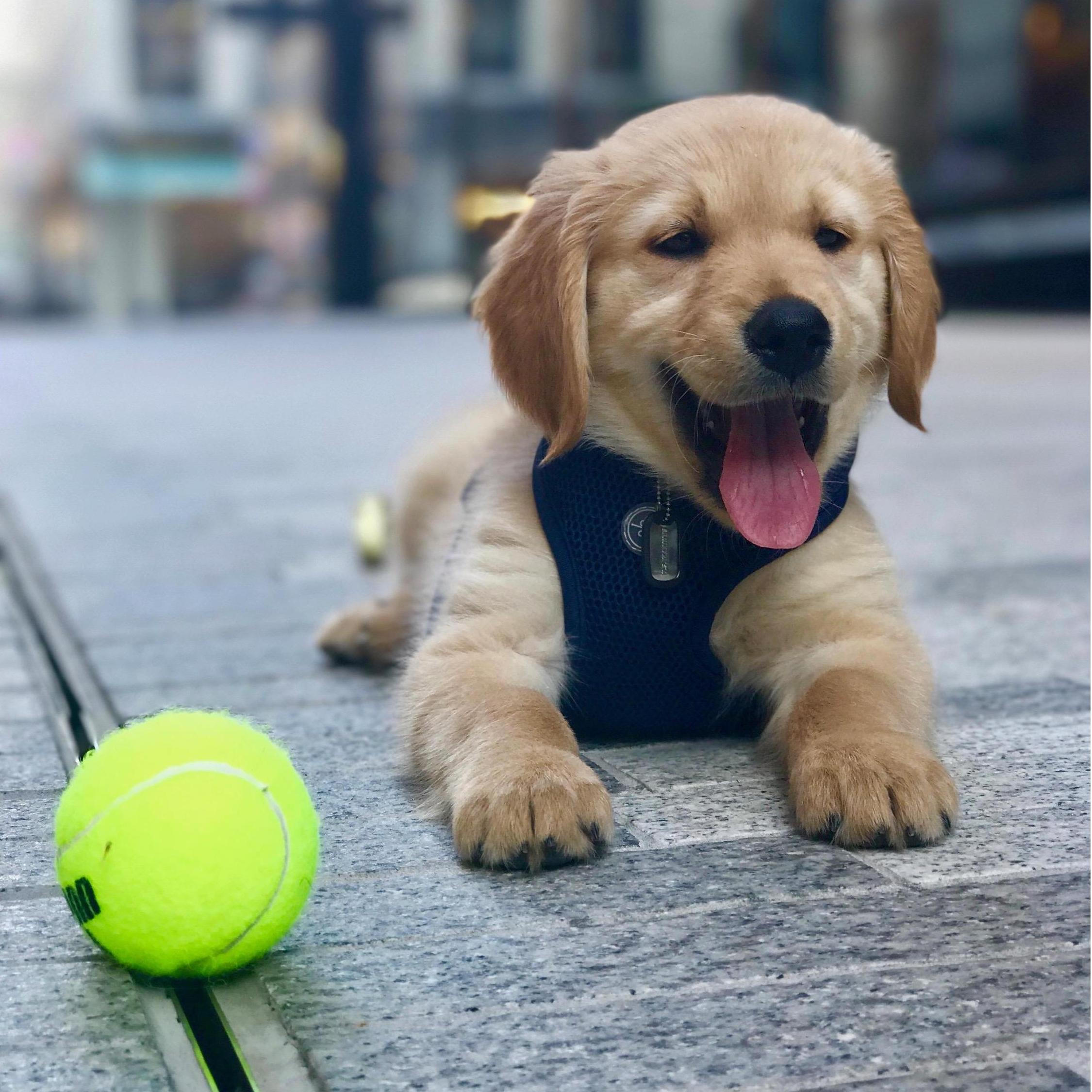 Baby JEB!