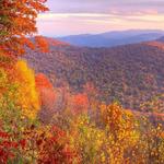 Skyline View Drive
