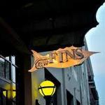 GW Fins
