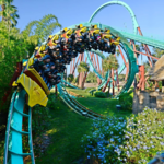 Busch Gardens Tampa Bay