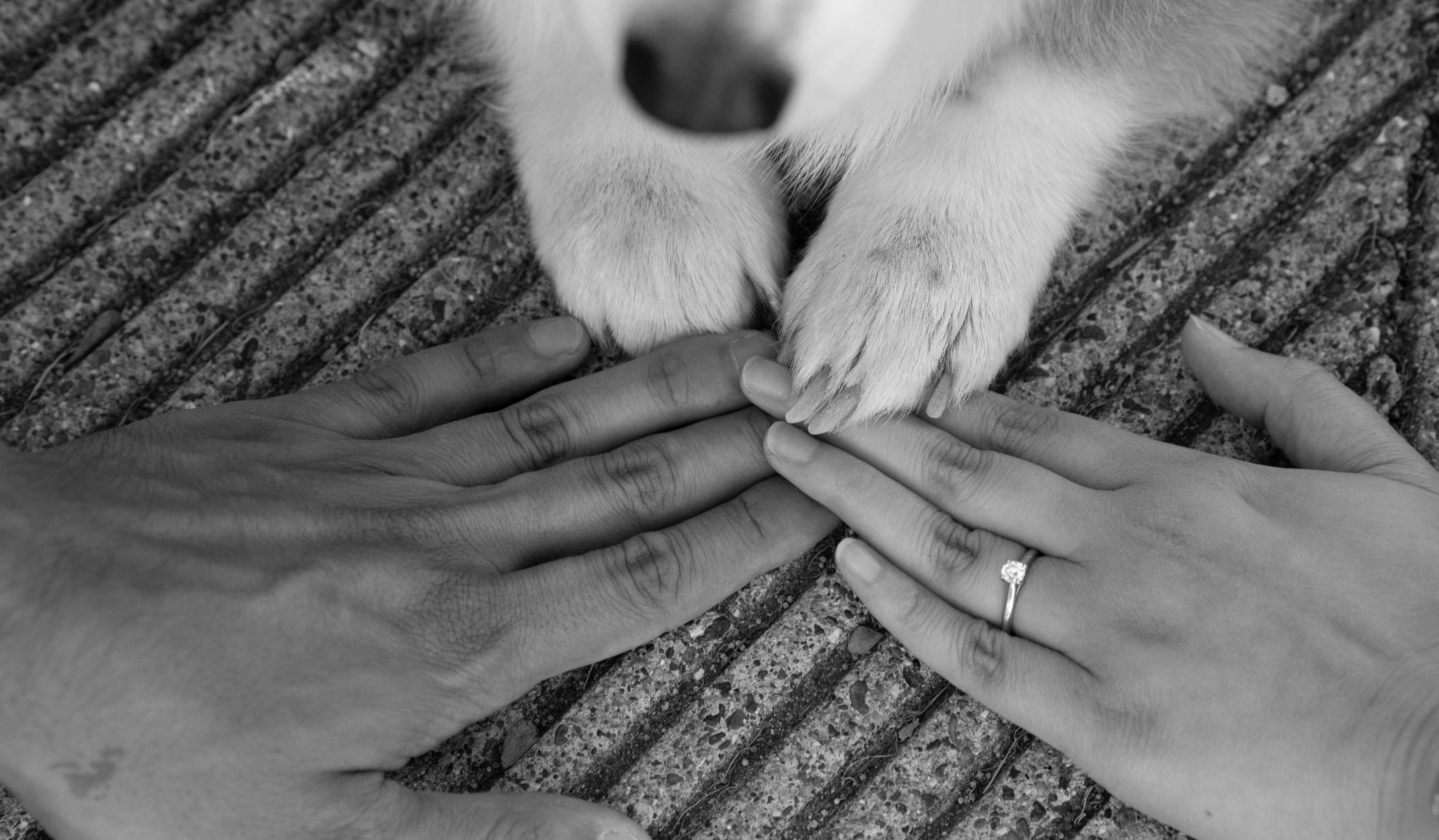 Hero Slideshow Image 2