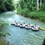 Montego Bay Jungle River Tubing Tour