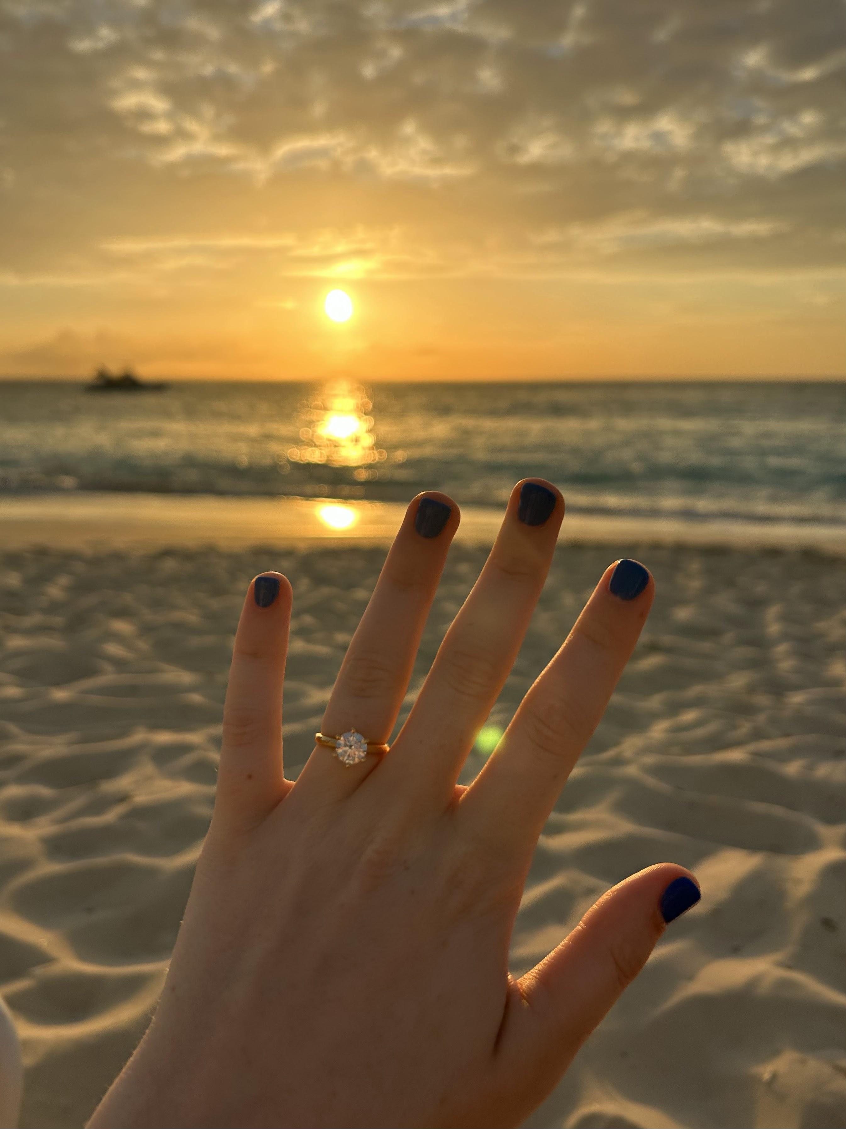 The Wedding Website of Amanda Heffernan and Brandon Piazza