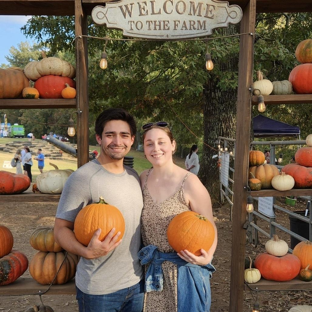 Pumpkin patch fall 2024