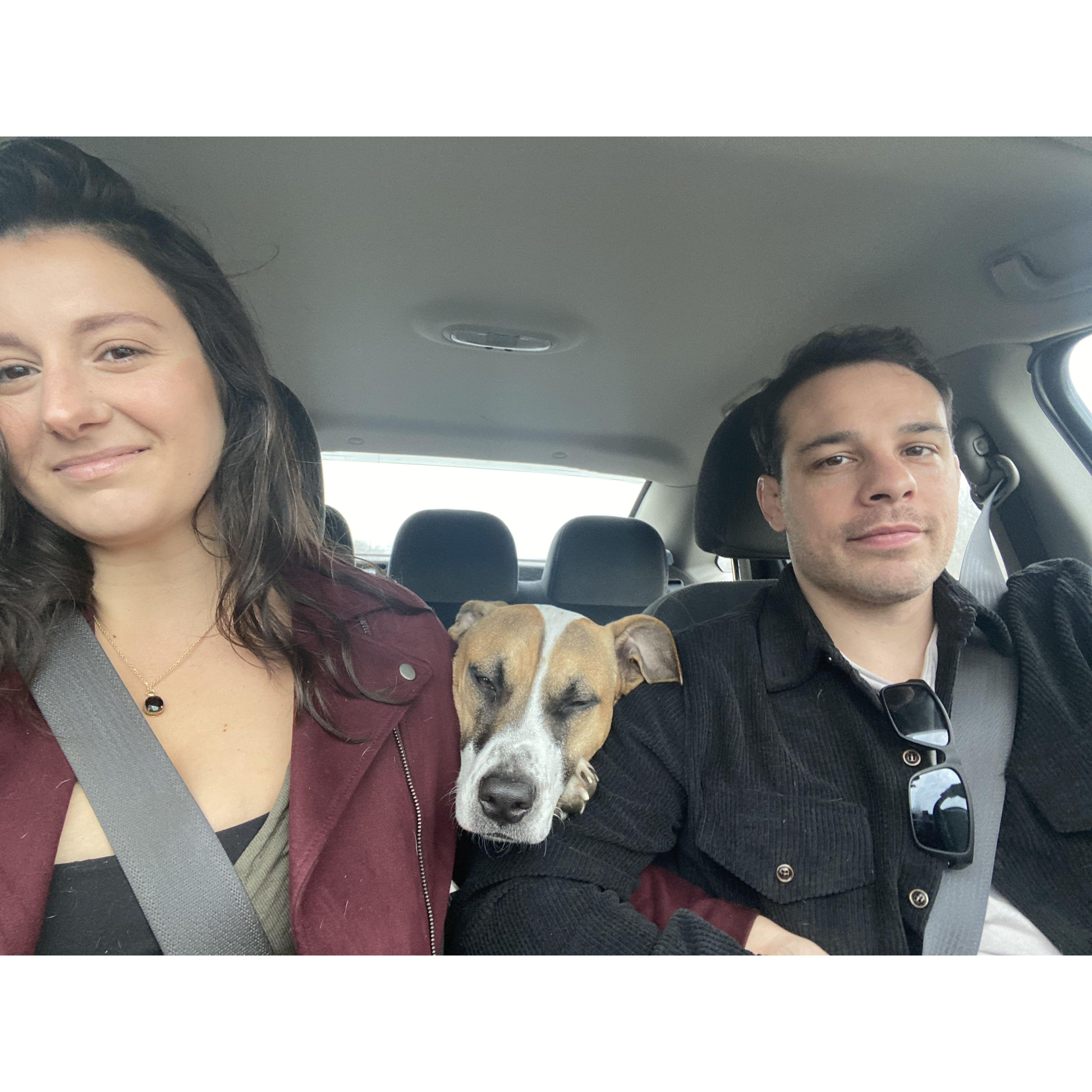 A happy little family <3