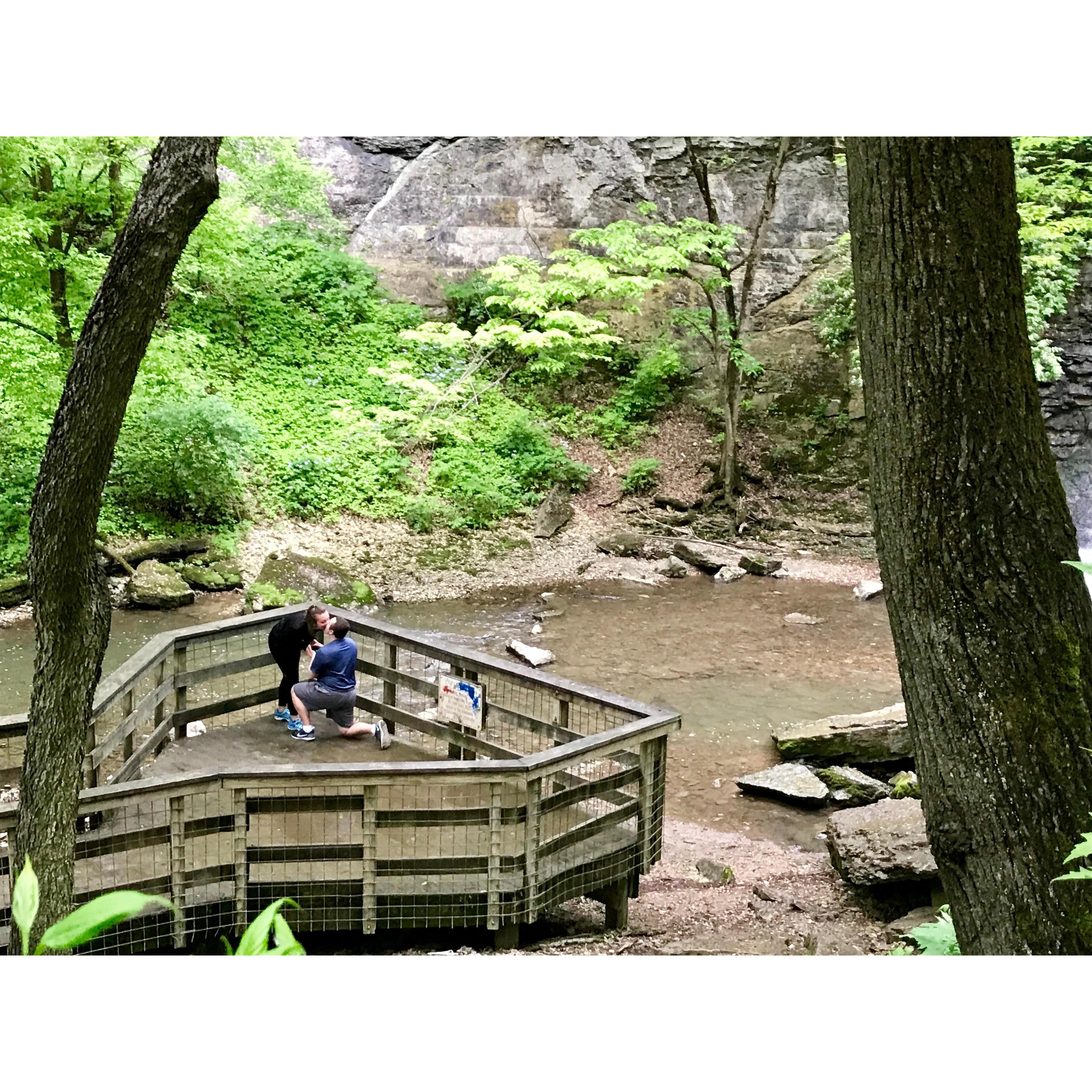 Proposal at Hayden Falls | May 21, 2019
