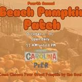 Pumpkin Patch at the Beach