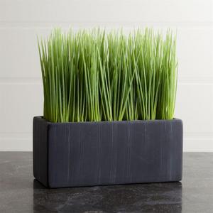 Large Potted Grass