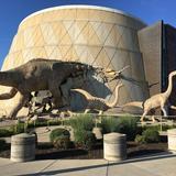 The Children's Museum of Indianapolis