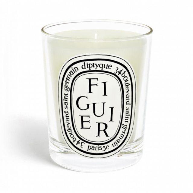 Figuier / Fig tree candle