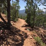 Dale Ball Trails