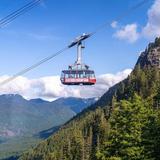 Grouse Mountain