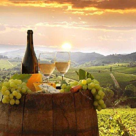 Wine Tasting in Florence