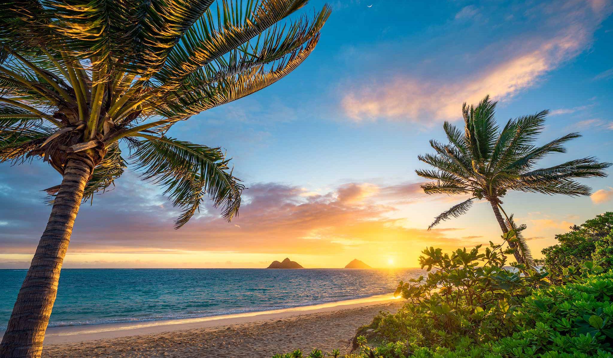 824ef804-6ecb-4a52-b619-95c24ec1a3b8