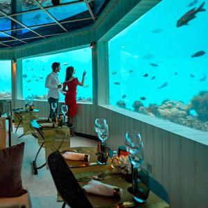 Underwater dinner on our honeymoon