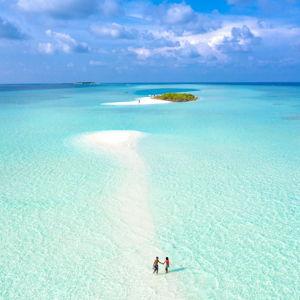 Honeymoon Fund