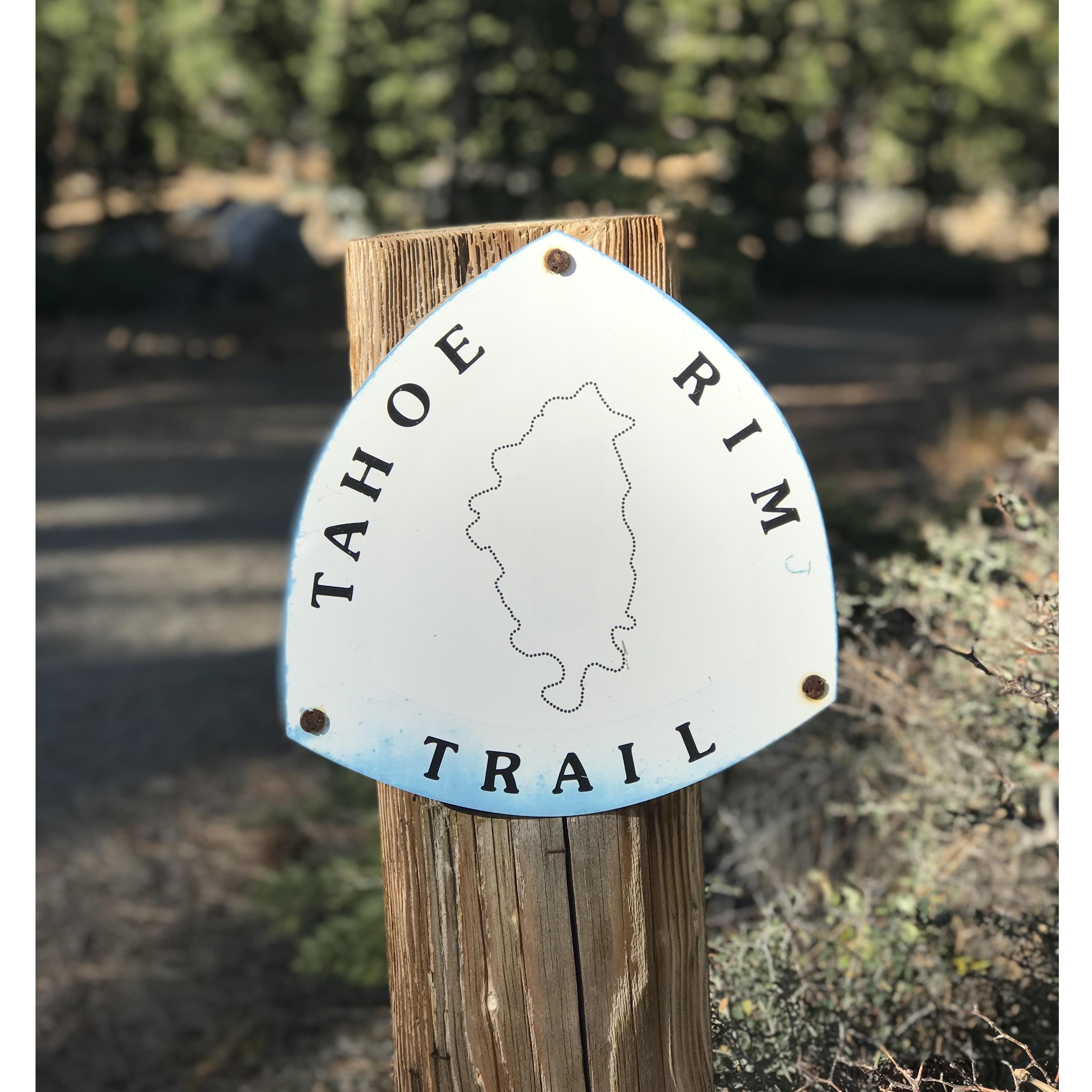 We LOVED living near Tahoe! We soaked up every ounce of trail until moving to Utah in the Summer of 2020.