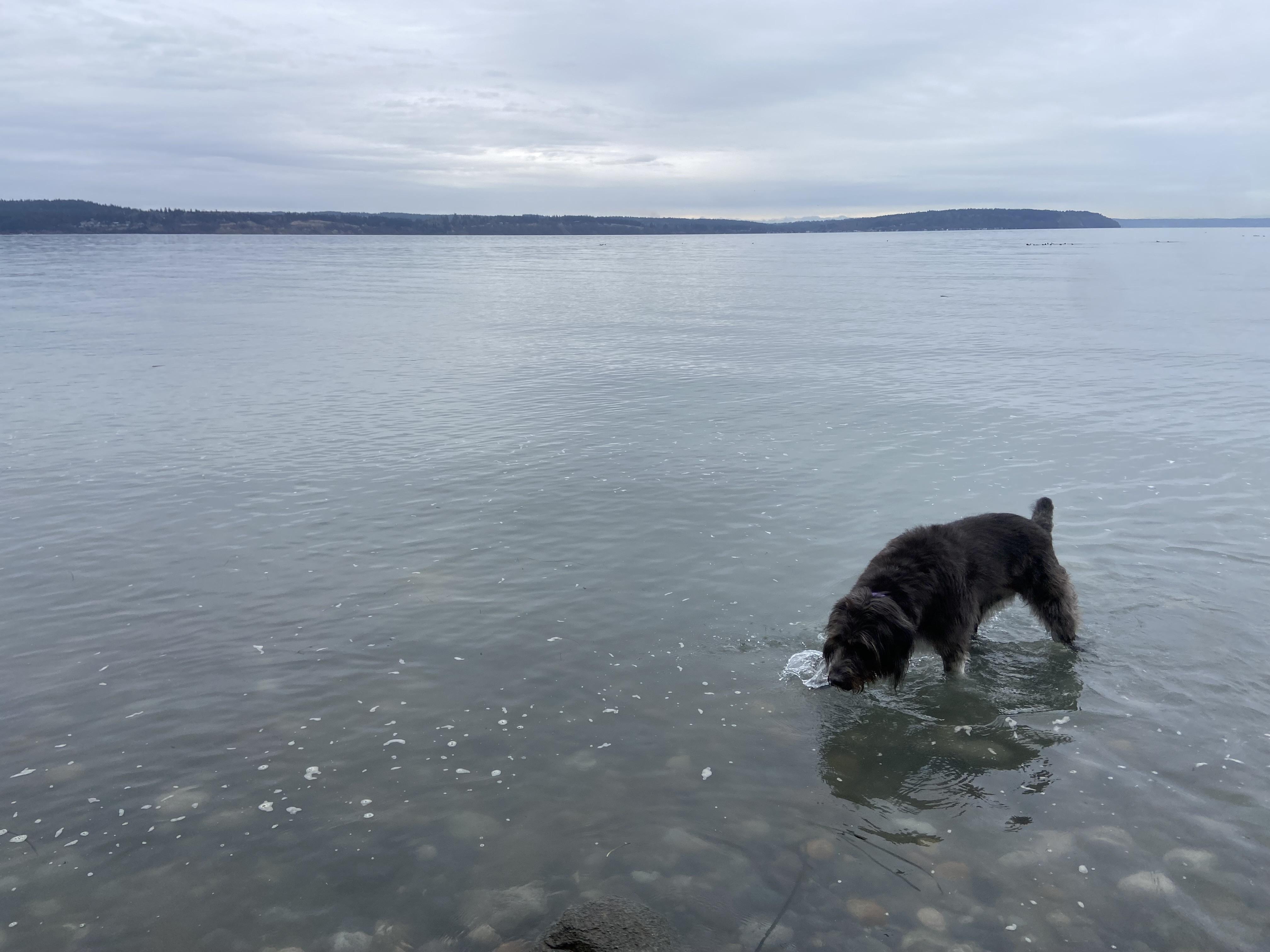 The Wedding Website of Emily Forcade and Zachary Forcade