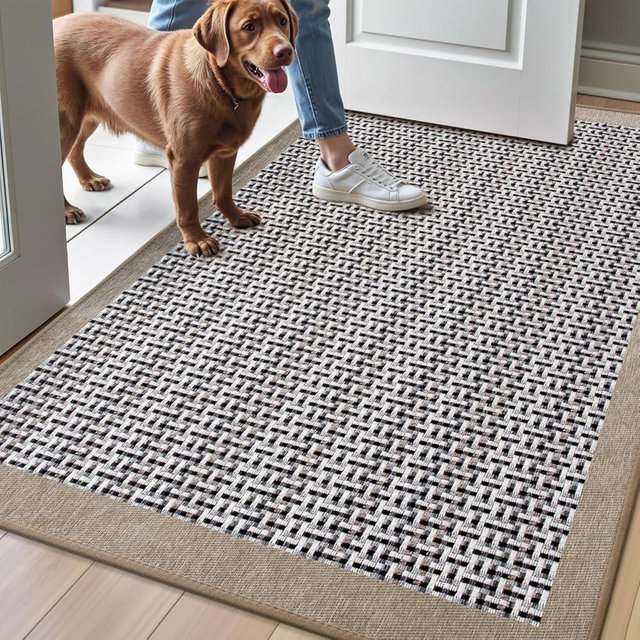 LUMI Inside Door Mat for Entry 32"x47", Absorbent, Dirt Trapper, Low Profile Thin, Non Slip Mats with Rubber Backing, Ideal for Indoor, High Traffic, Garage, Entrance, Classic Beige