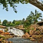 Falls Park on the Reedy