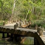 Springfield Conservation Nature Center