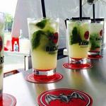 Casa Bacardi Distillery Tour