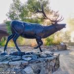 Elk Country Visitor Center