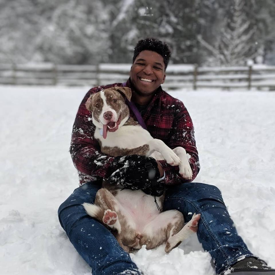 Snow Day with the dogs!