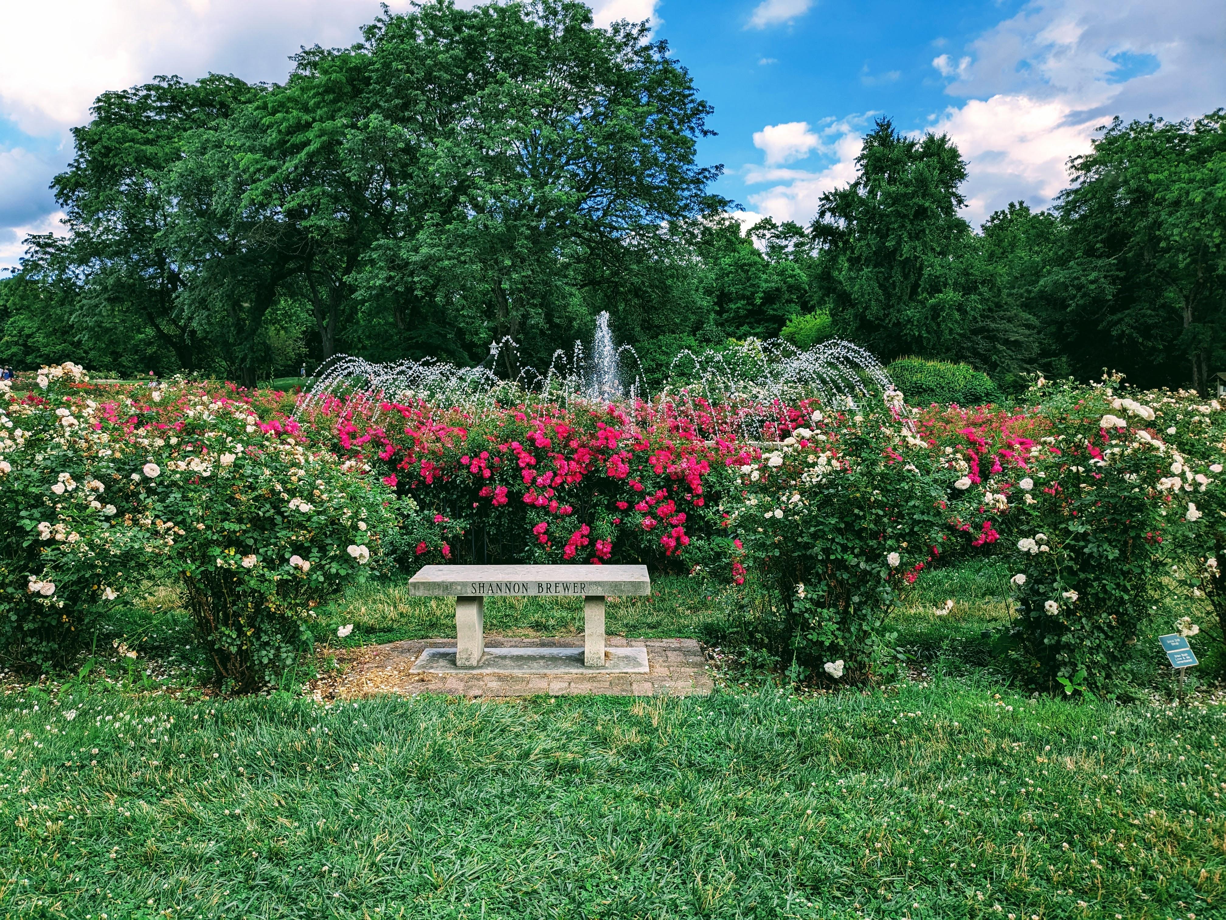 The Wedding Website of Chris Ewing and Jen Edwards