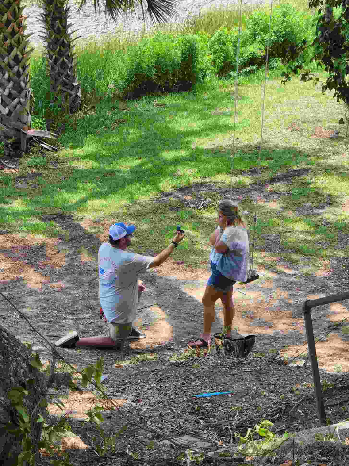 The only photo of the question.