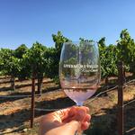 Livermore Valley Wine Country