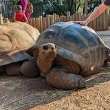 Reptile Gardens