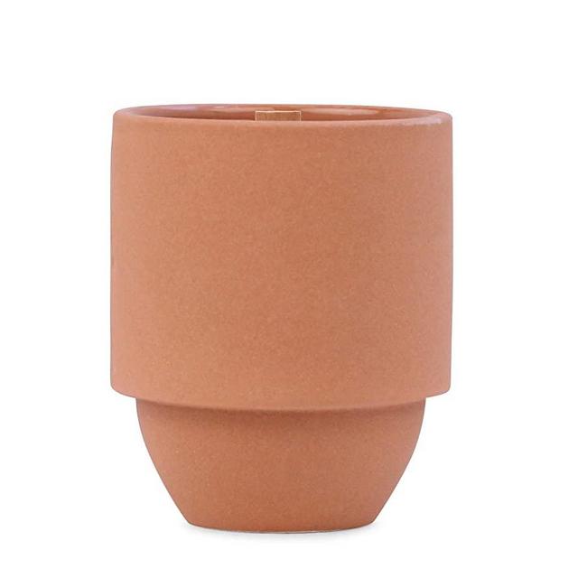 Paddywax Candles Parks Collection Scented Candle, 11-Ounce, Grand Canyon - Cactus Flower + Fern
