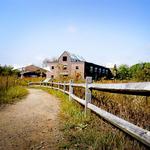Albany Pine Bush Preserve