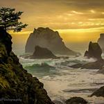 Oregon Coast