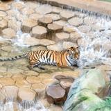 Minnesota Zoo