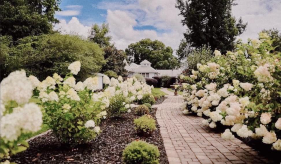 The Wedding Website of Rikki Champagne and Martin Gordon
