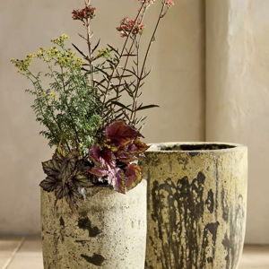 Barnacle Tapered Base Planter