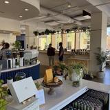 Wonderstate Coffee - Madison Cafe
