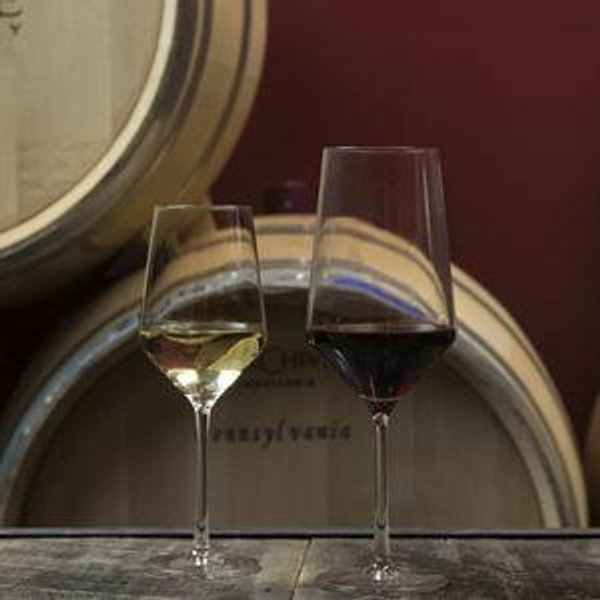 SCHOTT ZWIESEL Tritan Pure Sauvignon Blanc Glass, Set of 2